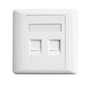 Face Plate 2 Port (code:3565)